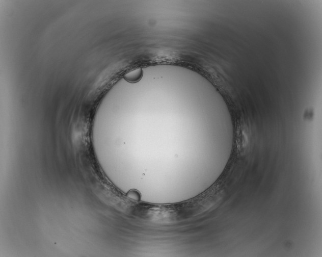 X0000111390714200907241334