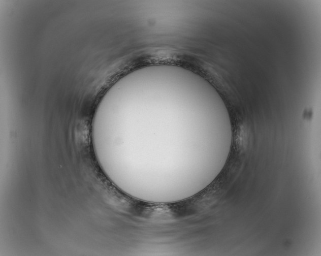 X0000111390715200907241334