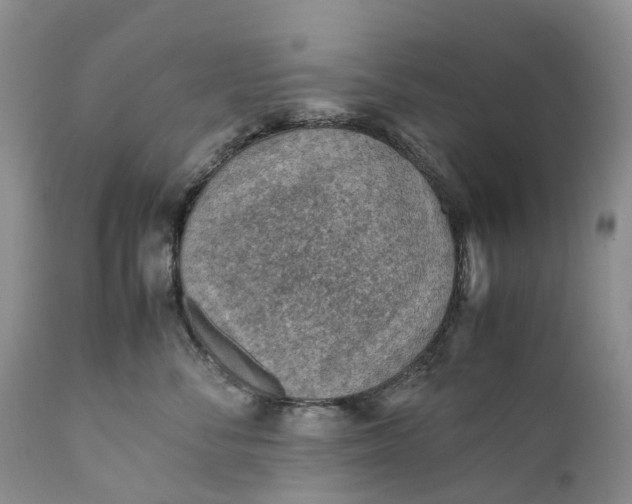 X0000111390716200907241334