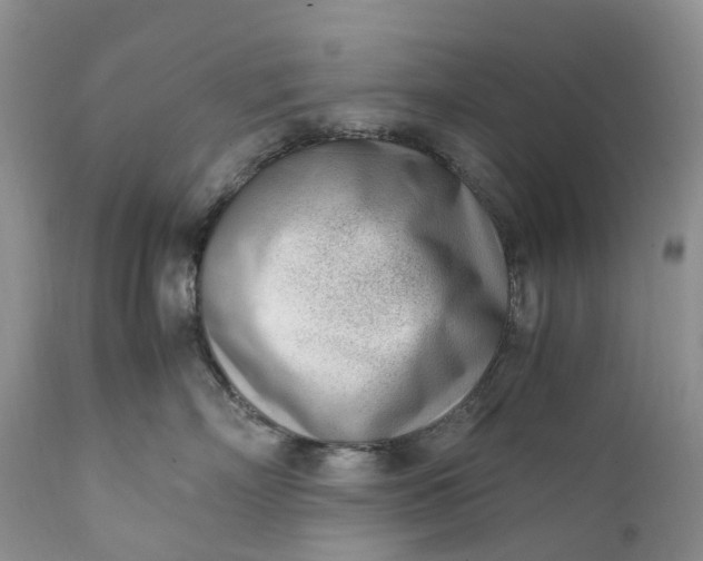 X0000111390718200907241333