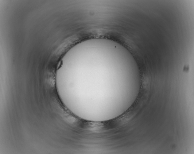 X0000111390719200907241333