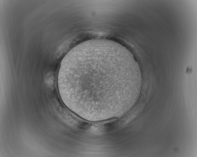 X0000111390720200907241333