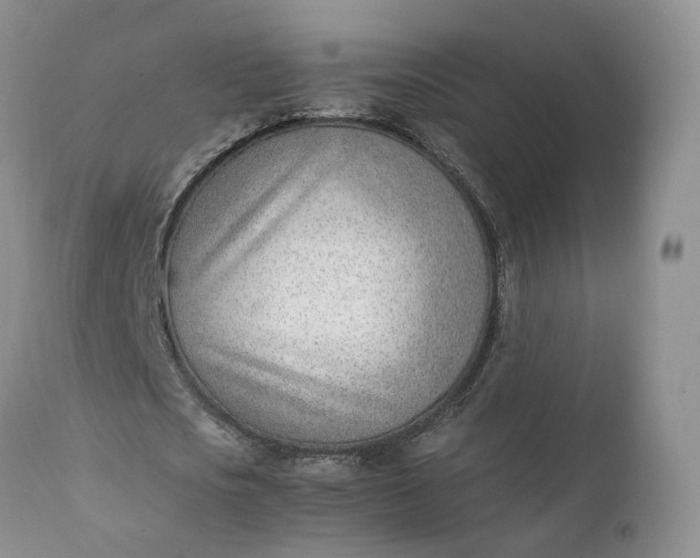 X0000111390721200907241333