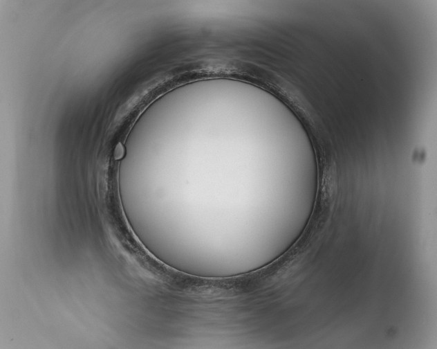 X0000111390722200907241333