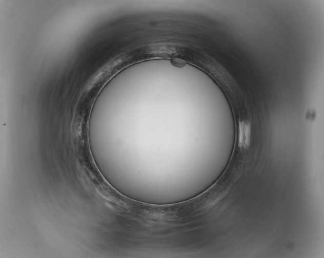 X0000111390723200907241333