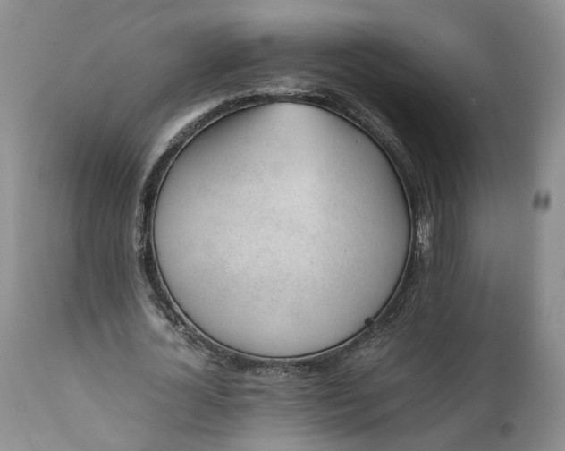 X0000111390724200907241333