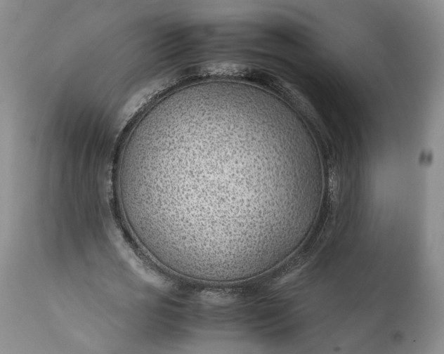 X0000111390725200907241333