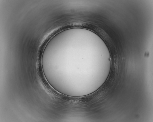 X0000111390728200907241333