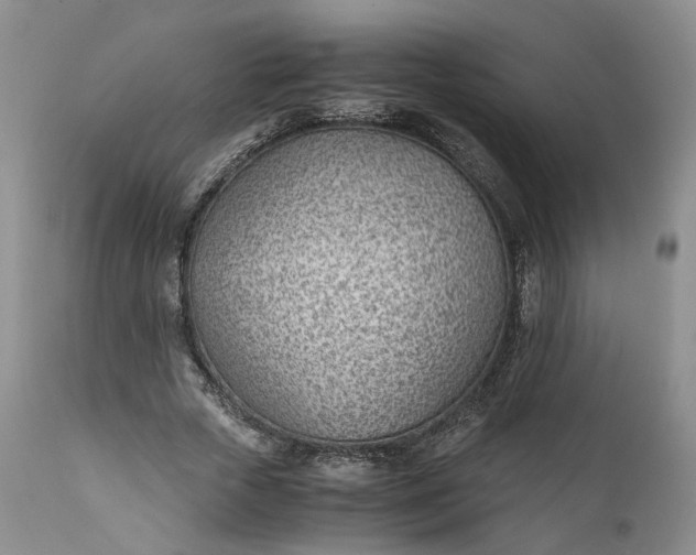 X0000111390729200907241333