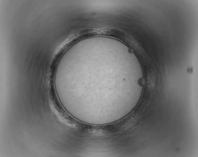 X0000111390730200907241333