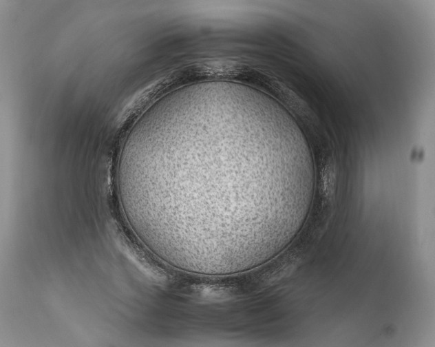 X0000111390733200907241333