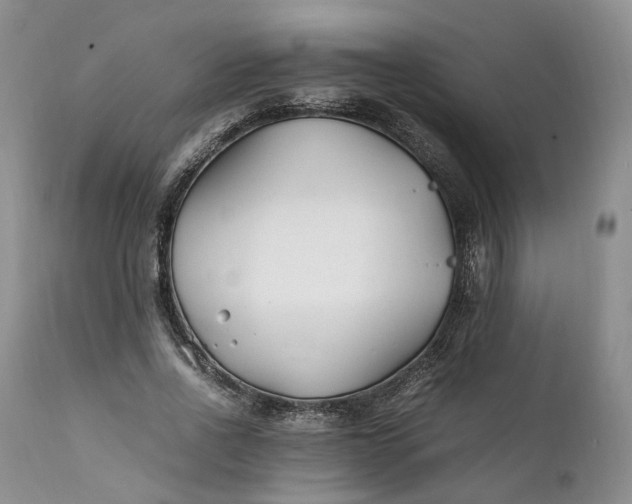 X0000111390734200907241333