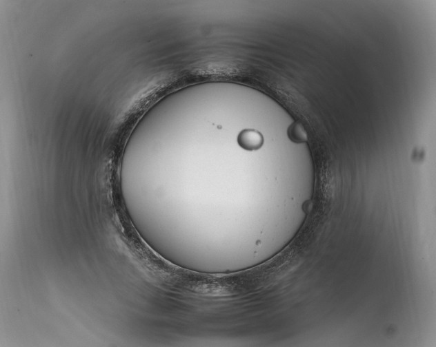 X0000111390735200907241333