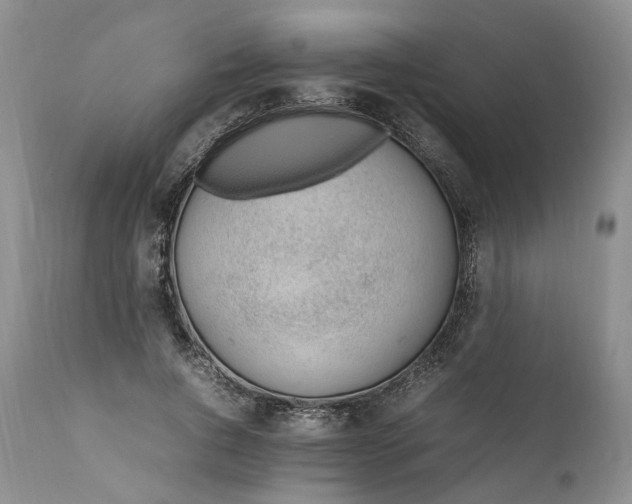 X0000111390736200907241333