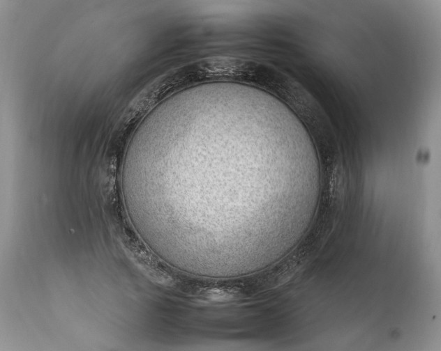 X0000111390737200907241333