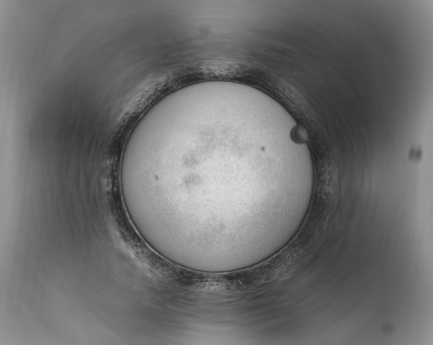 X0000111390738200907241333