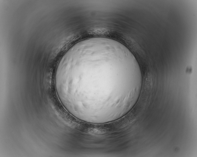 X0000111390739200907241333