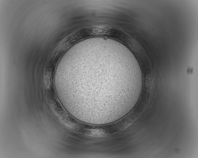 X0000111390741200907241333