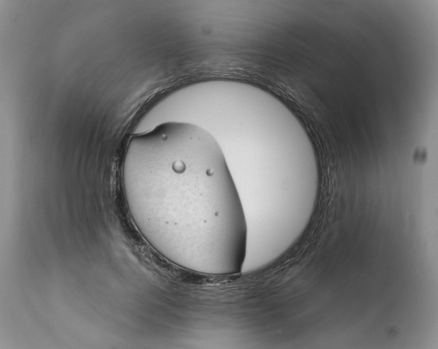 X0000111390744200907241333