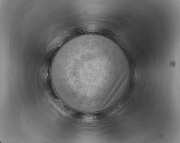 X0000111390746200907241333