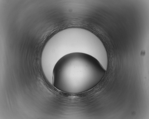 X0000111390748200907241333