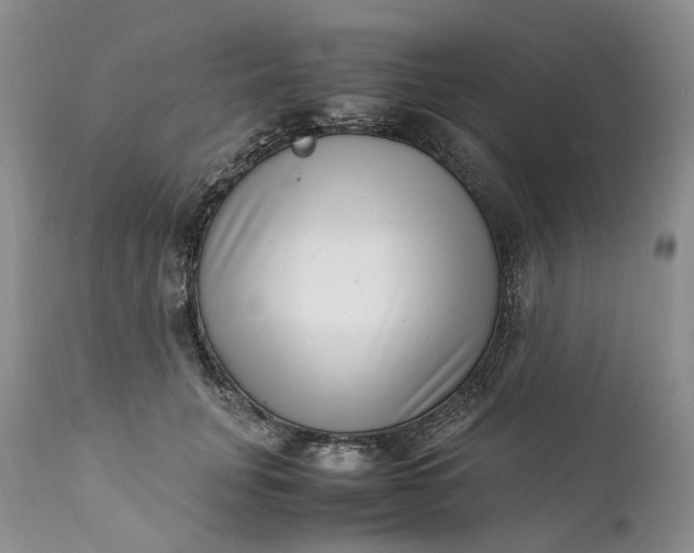 X0000111390751200907241333