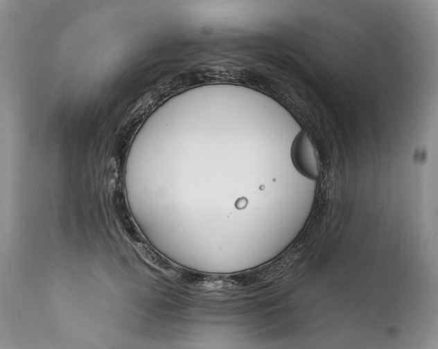 X0000111390752200907241333