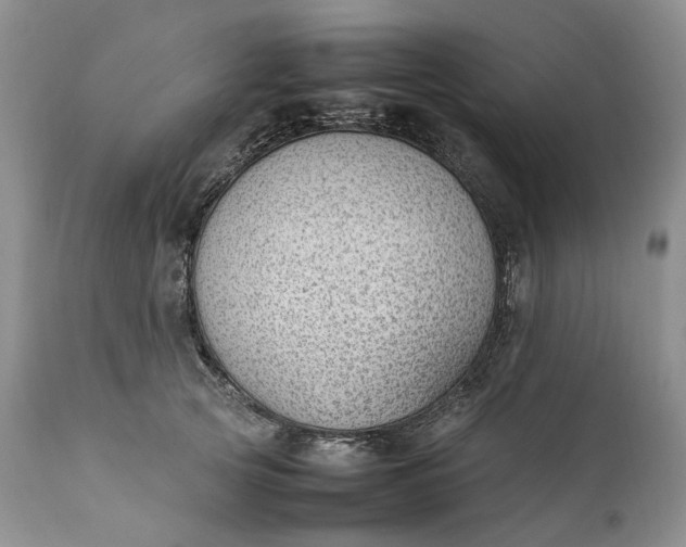 X0000111390753200907241333