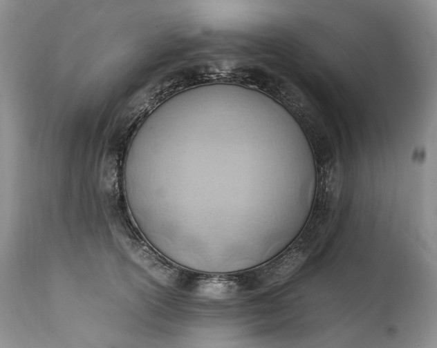 X0000111390754200907241333