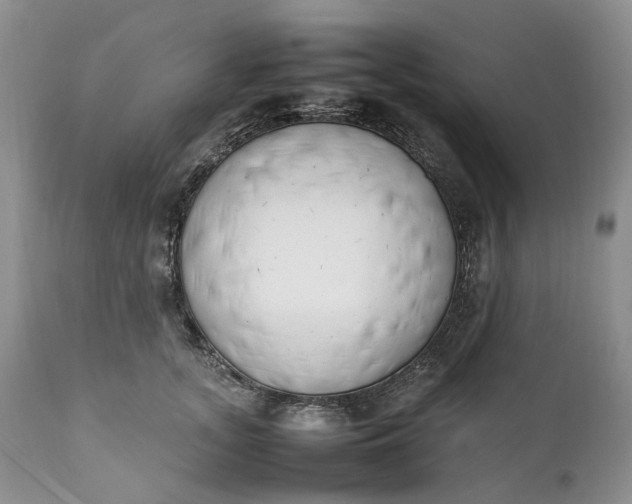 X0000111390755200907241333