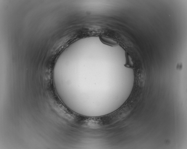 X0000111390756200907241333