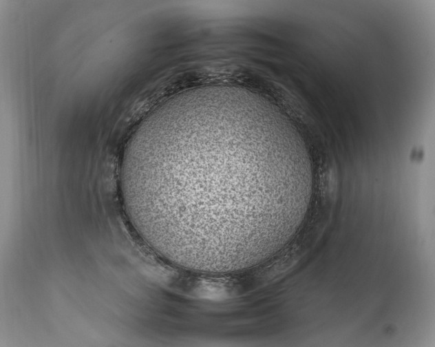 X0000111390757200907241333