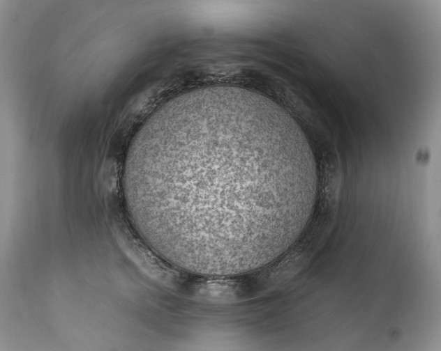 X0000111390758200907241333