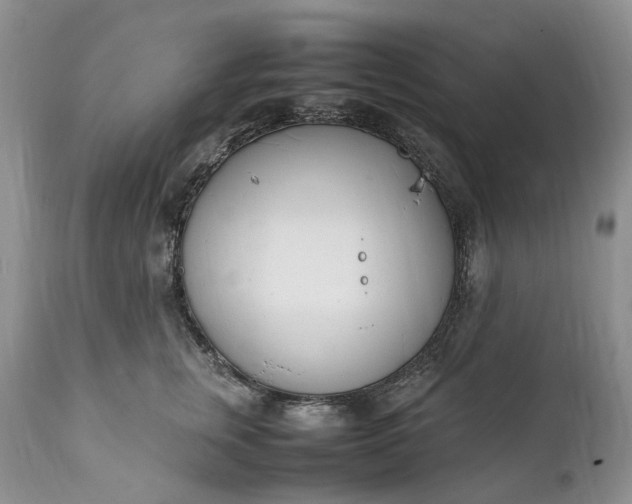 X0000111390759200907241333