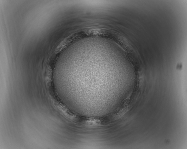 X0000111390760200907241333