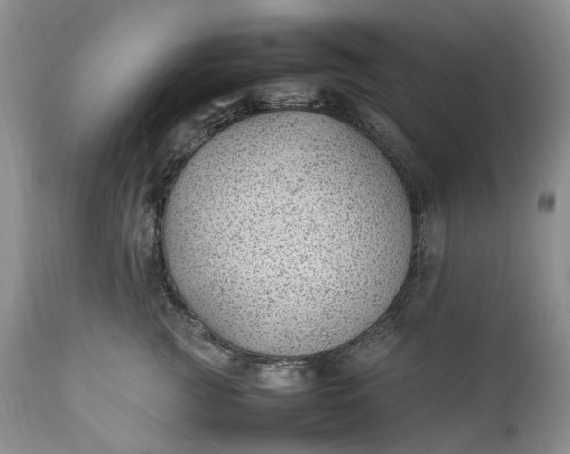 X0000111390761200907241333