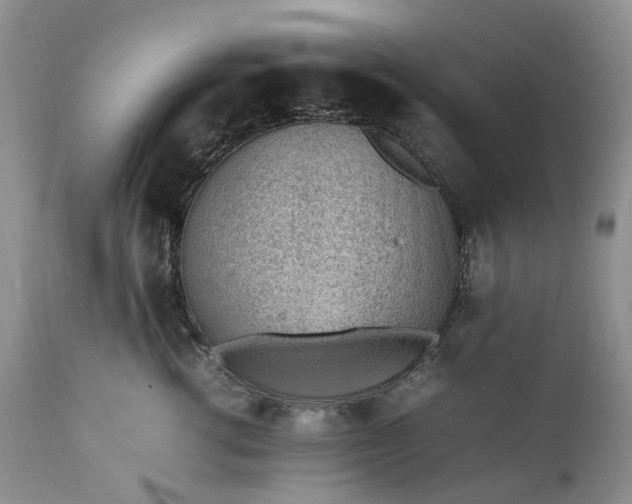 X0000111390762200907241333