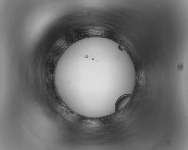 X0000111390763200907241333