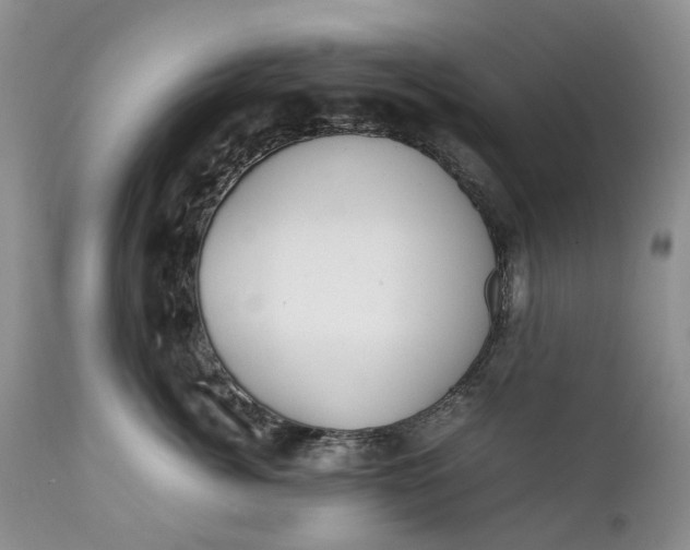 X0000111390764200907241333