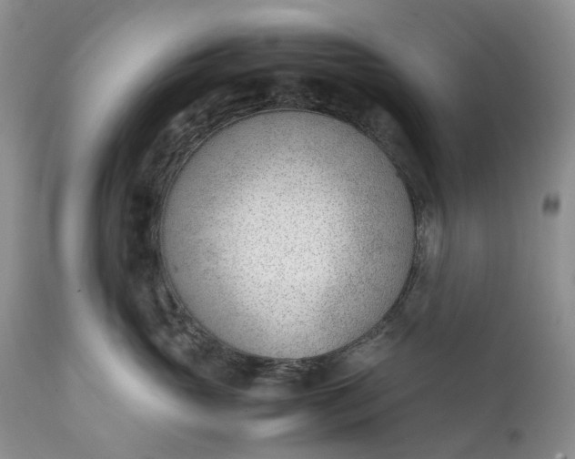 X0000111390765200907241333