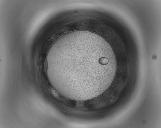 X0000111390766200907241333