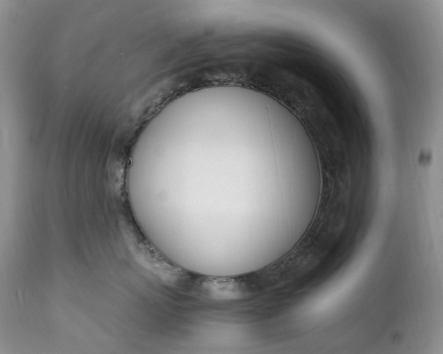 X0000111390767200907241333