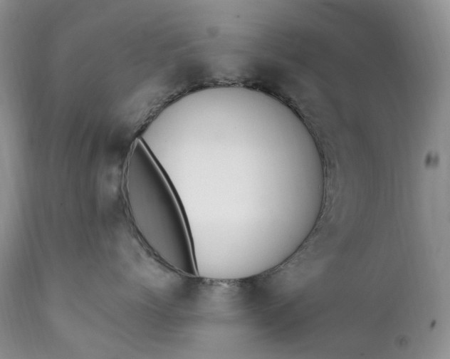 X0000111390768200907241333