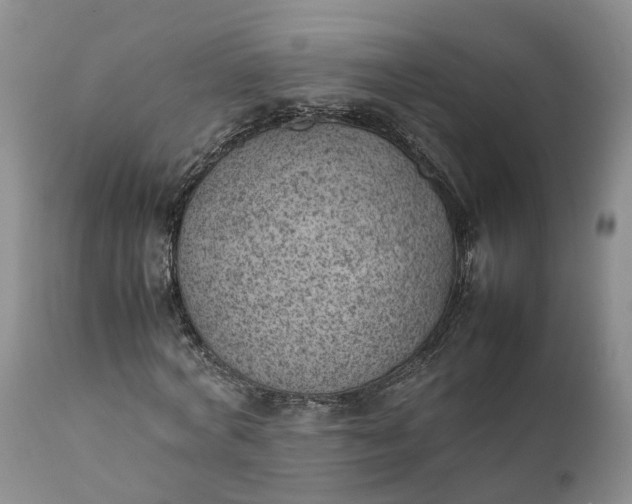 X0000111390772200907241333