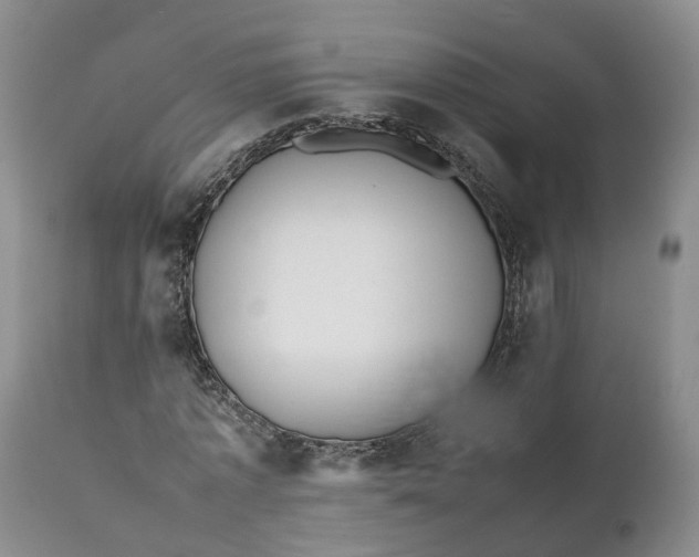 X0000111390773200907241333