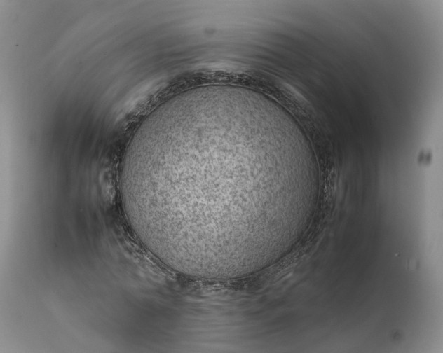 X0000111390774200907241333