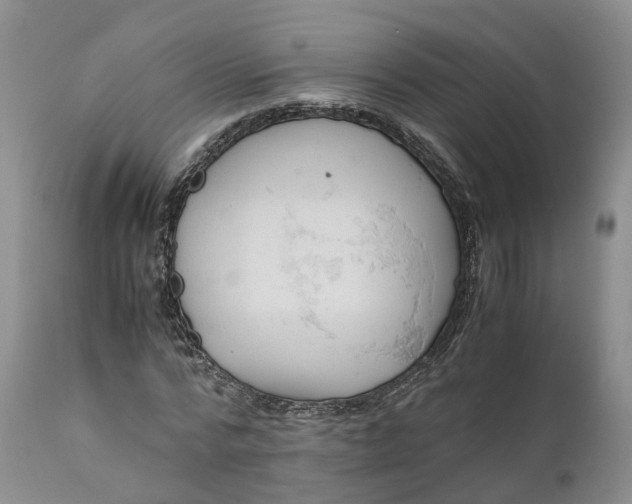 X0000111390776200907241333