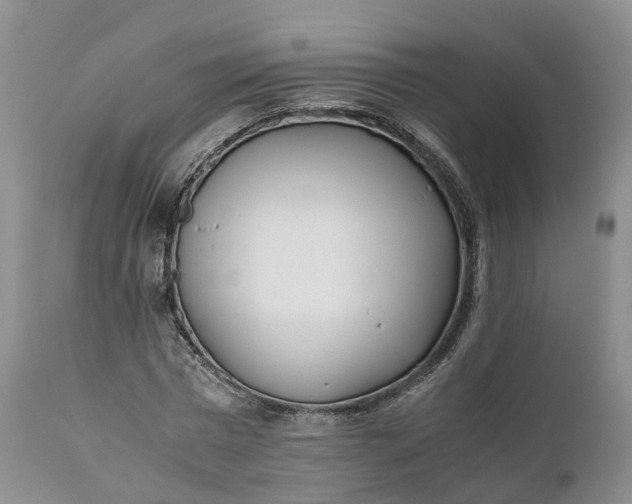 X0000111390777200907241332