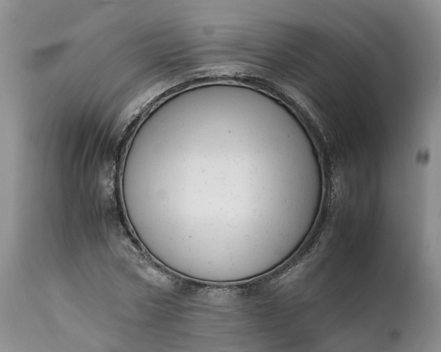 X0000111390778200907241332