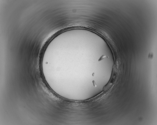 X0000111390780200907241332